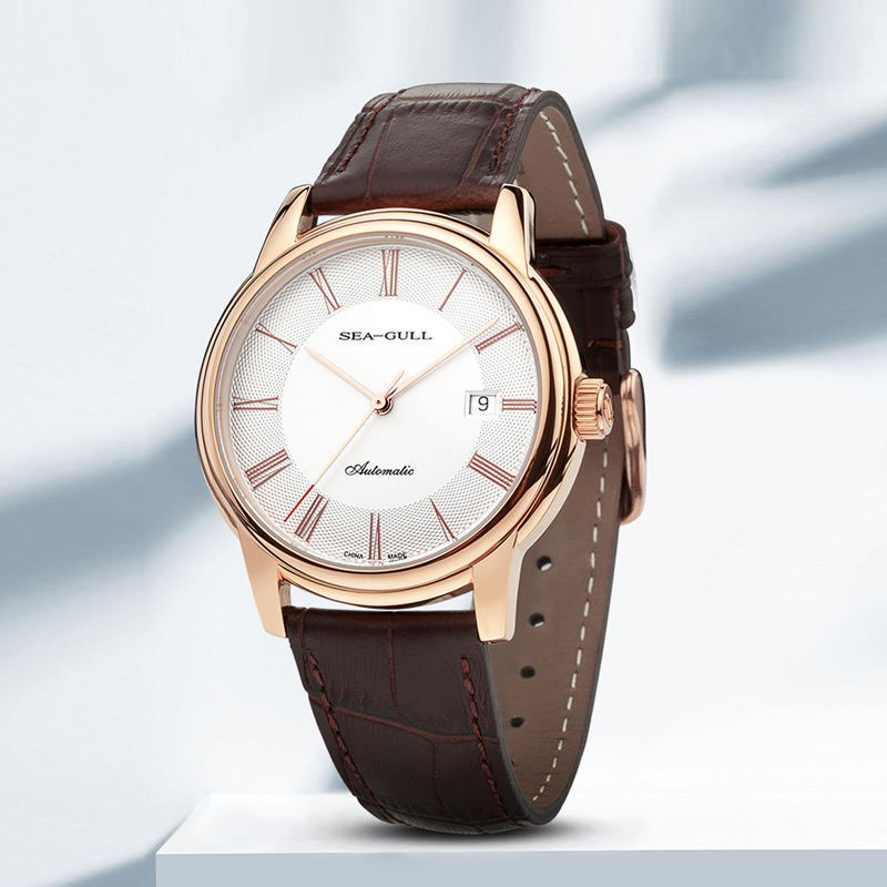 Seagull Mannen Mechanische Hor - Omega Watch Constellation recensie en prijs